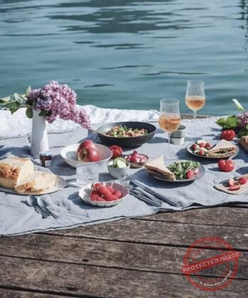 Une Odyssée au cœur de la nature : Top 5 des meilleurs spots pique-nique au Sénégal