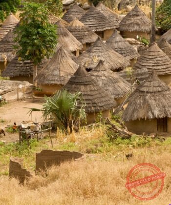 14 régions, 14 merveilles : partez à la découverte d’un Sénégal authentique