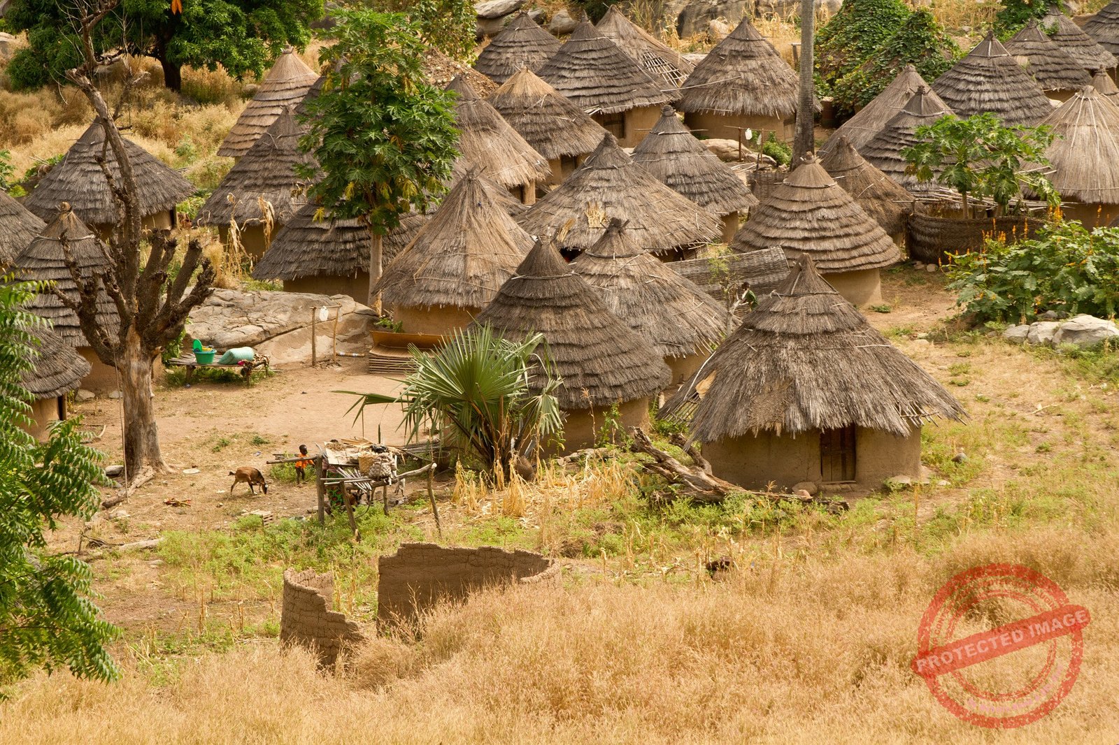 14 régions, 14 merveilles : partez à la découverte d’un Sénégal authentique