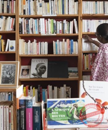 Top 5 des meilleures librairies à Dakar pour les passionnés de lecture