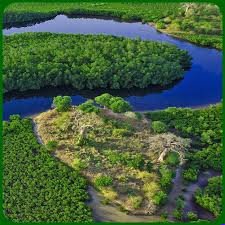 Les attractions touristiques incontournables au Sine Saloum
