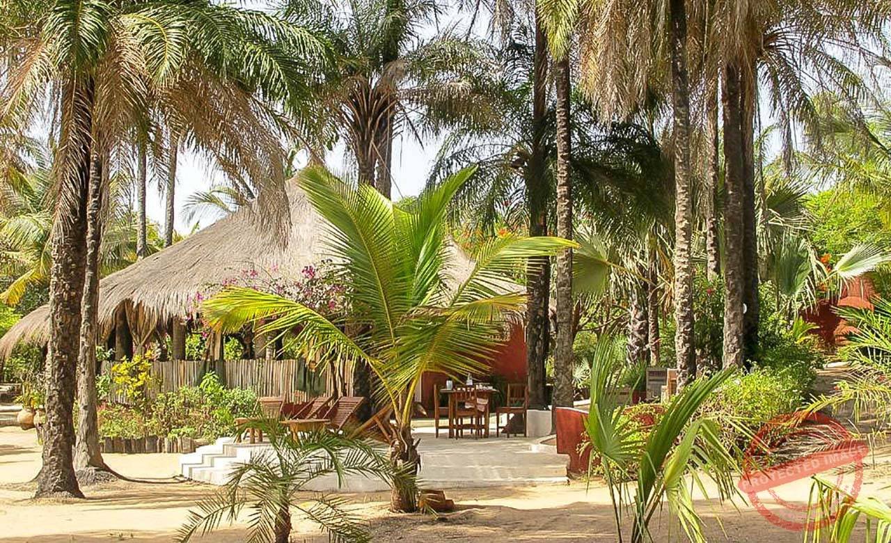 Casamance : les lieux à découvrir pour un séjour entre nature et culture